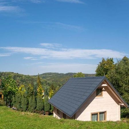 Domek Na Lesnym Wzgorzu Pieszyce Exteriör bild
