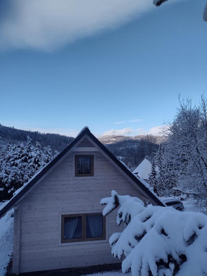Domek Na Lesnym Wzgorzu Pieszyce Exteriör bild